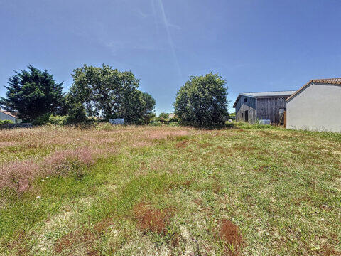 Photo de Terrain à SAINT REVEREND