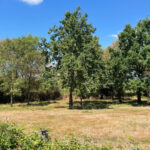 Ensemble immobilier 42 hectares – Saint Christophe Du Ligneron