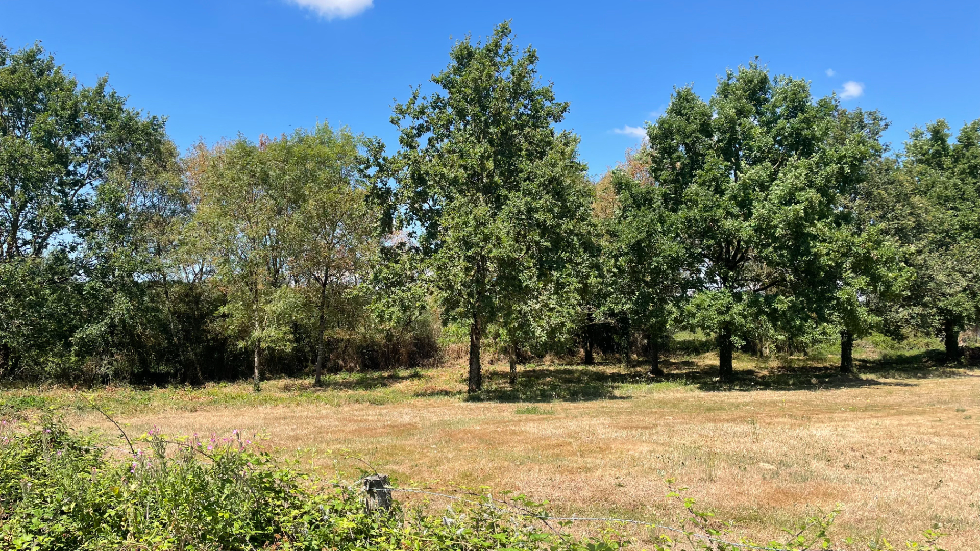 Ensemble immobilier 42 hectares – Saint Christophe Du Ligneron