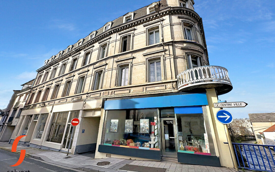 A vendre, Appartement de caractère 3 chambres, avec potentiel locatif de 14 400 / an