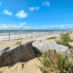 Image bien 59590614